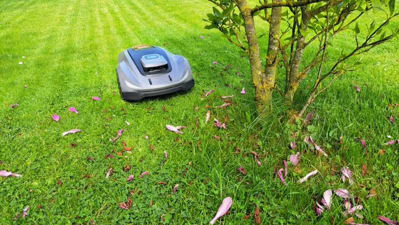 Gartentechnik Schubert – Bild 15